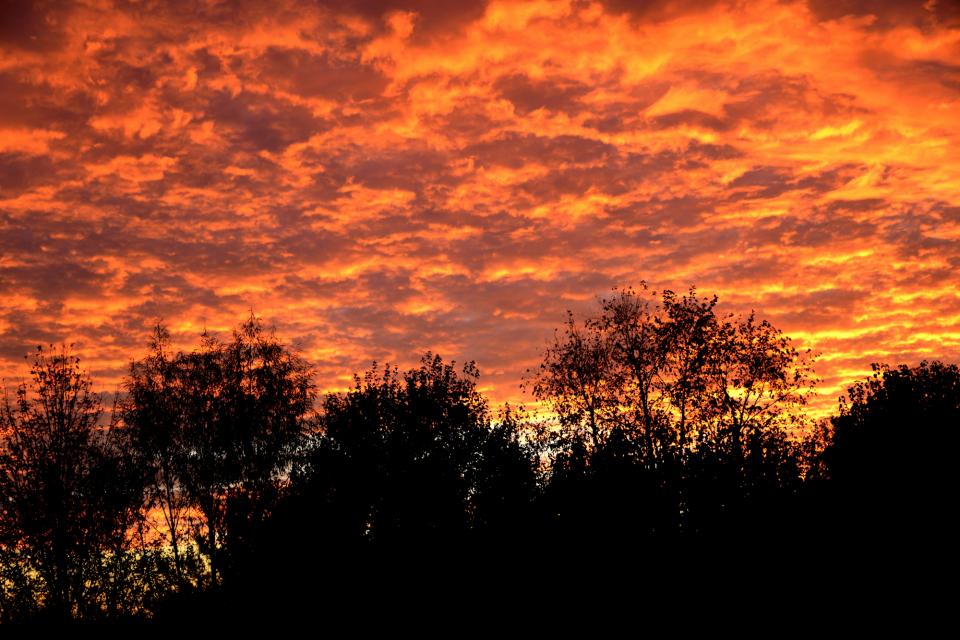 November Sunset! Shutterbug